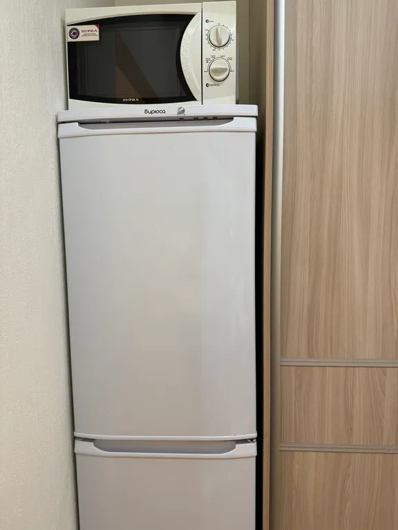 Апартаменты однокомнатные в Советском, 24 м², Красноярск — кухня, фото 3