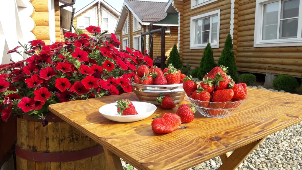 Фото отеля «Деревня Кучугуры Kuchugury Village», 11