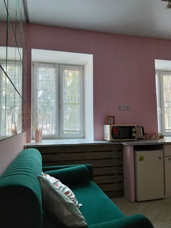 Студия однокомнатная на площади Челюскинцеве, 30 м², Ярославль — фото 17