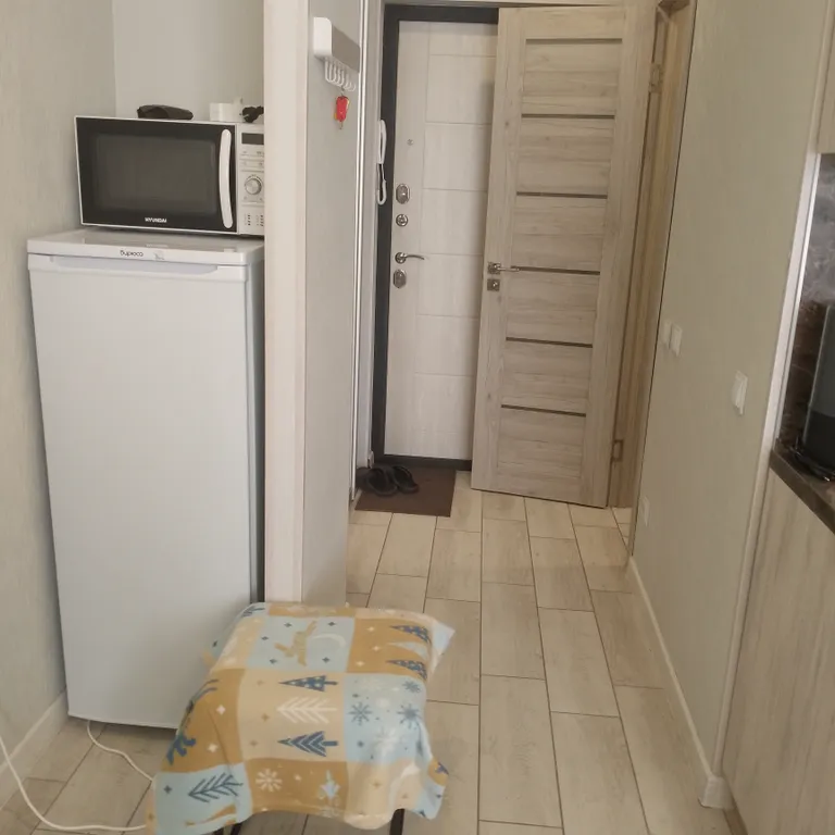 Студия однокомнатная в микрорайоне Олимпийском городоке, 26 м², Рязань — фото 15