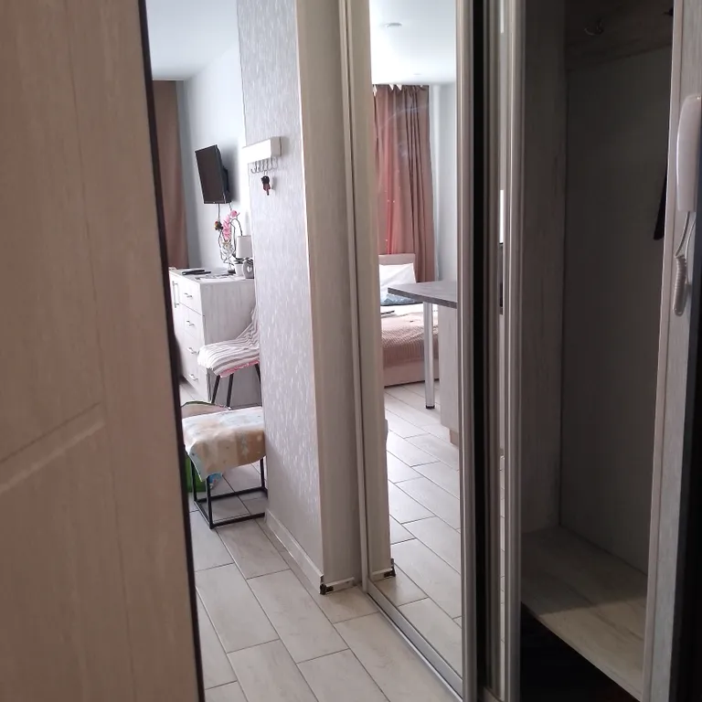 Студия однокомнатная в микрорайоне Олимпийском городоке, 26 м², Рязань — фото 16