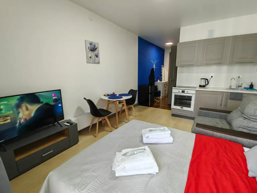 Студия однокомнатная у Горьковской, в Кузнечихе, 26 м², Нижний Новгород — кухня, фото 2