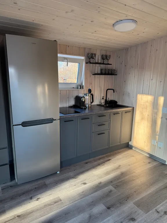 Дом 4-местный в переулке Кумсинском, 42 м², Медвежьегорск — кухня, фото 11