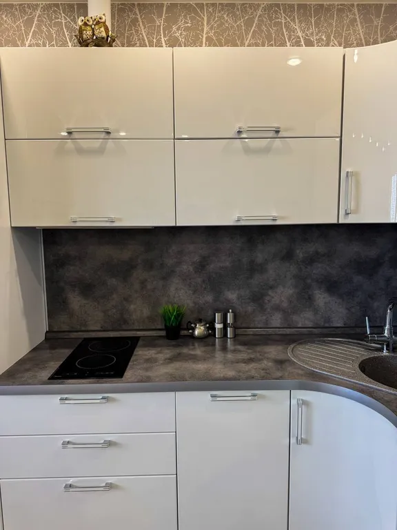 Квартира двухкомнатная в Кировском, 40 м², Красноярск — кухня, фото 6