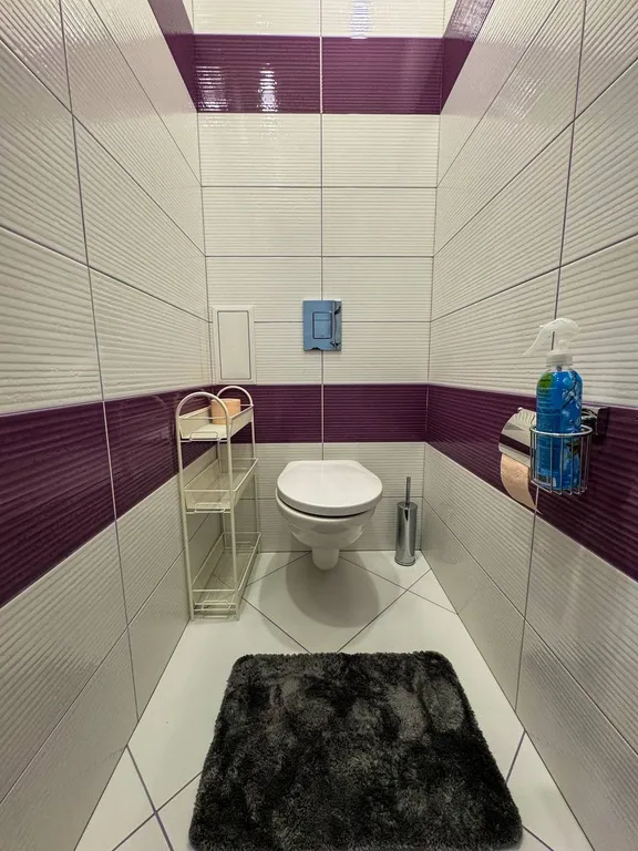 Квартира двухкомнатная в Кировском, 40 м², Красноярск — ванная комната, фото 2