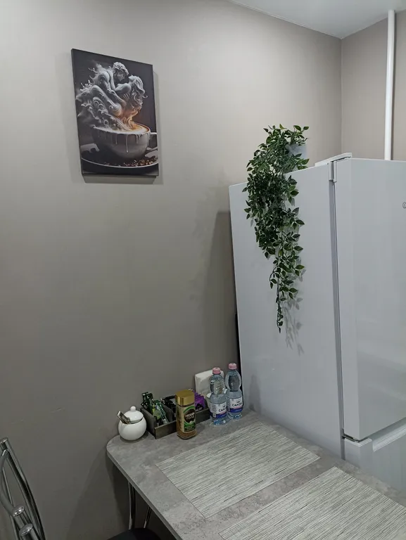 Квартира однокомнатная в Нижегородском, 33 м², Нижний Новгород — фото 14