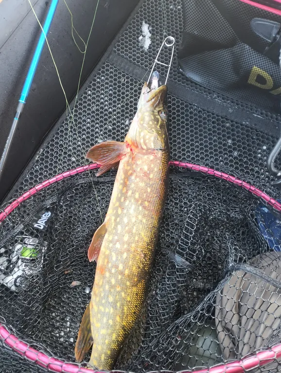 Дом для отдыха на реке