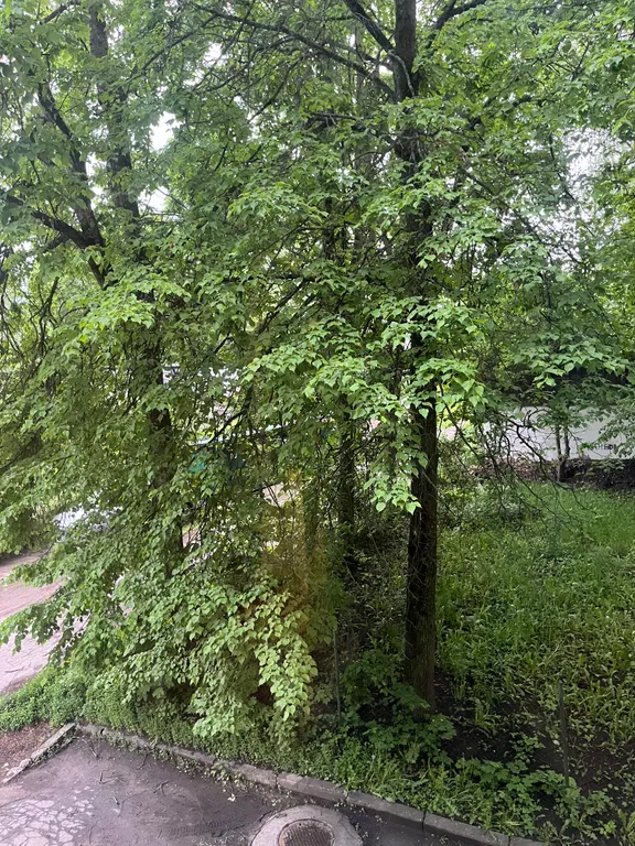 Квартира однокомнатная на улице Фёдоровском Ручее, 32 м², Великий Новгород — фото 10