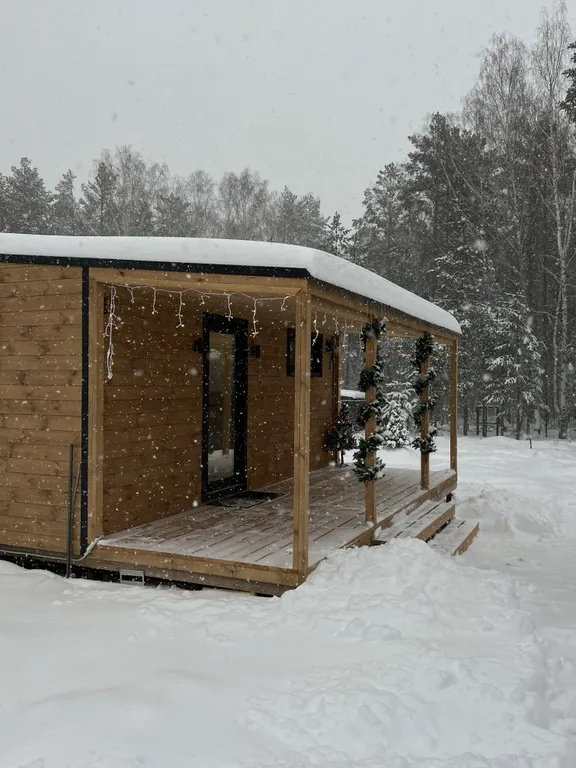 Лесной сканди домик