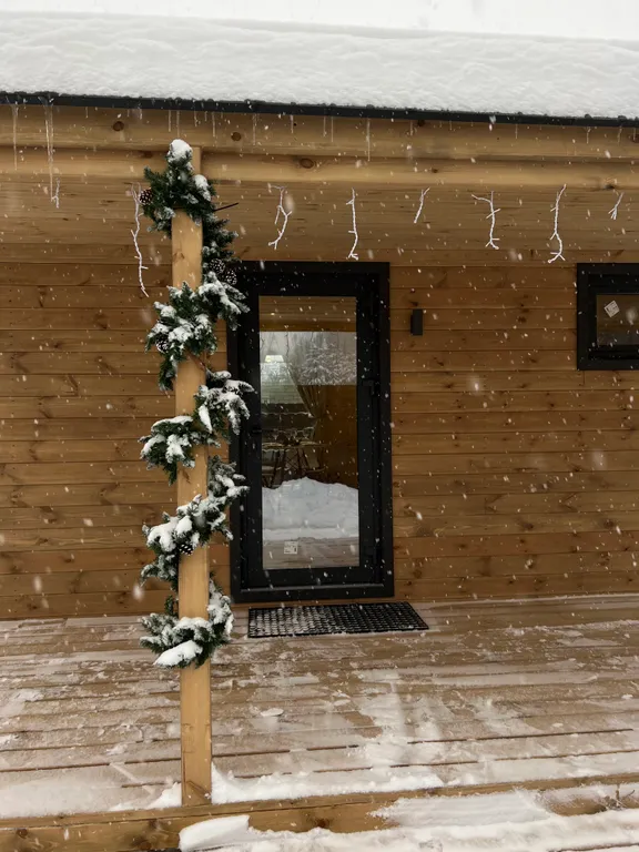 Лесной сканди домик