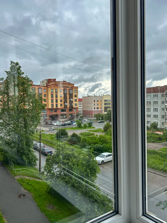 Квартира однокомнатная на улице Народной, 30 м², Псков — вид из окна