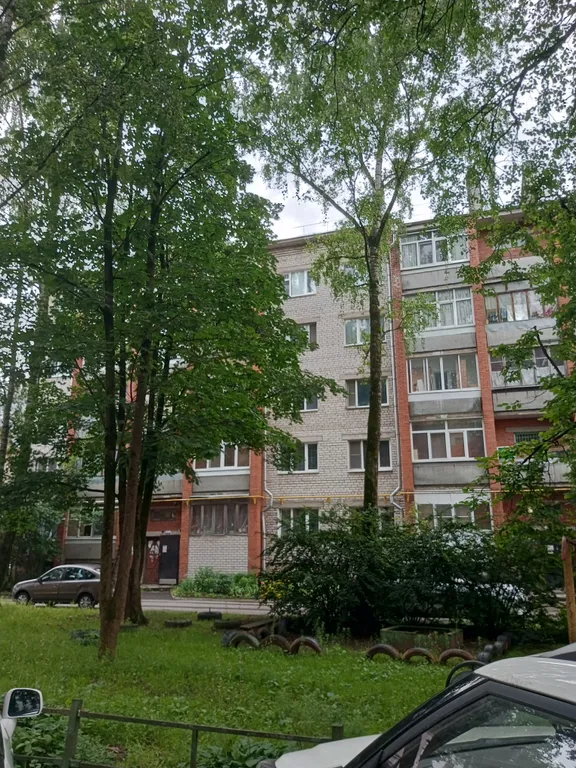 Квартира однокомнатная на проспекте Октябрьском, 40 м², Псков — двор