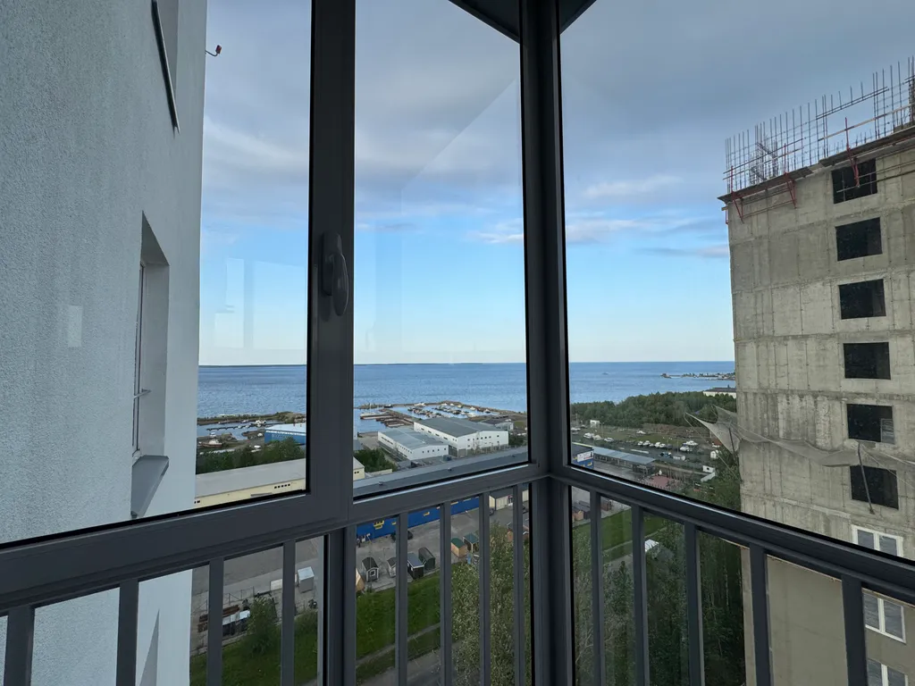 Студия однокомнатная на улице Онежской Флотилии, 26 м², Петрозаводск — фото 22