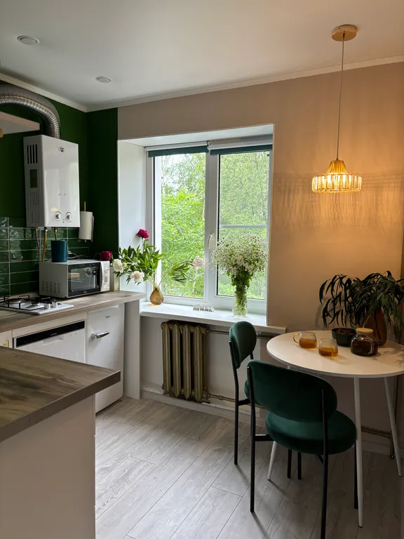 Квартира однокомнатная на улице Александровской, 30 м², Старая Русса — кухня, фото 3