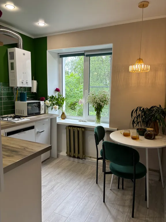 Квартира однокомнатная на улице Александровской, 30 м², Старая Русса — кухня, фото 4
