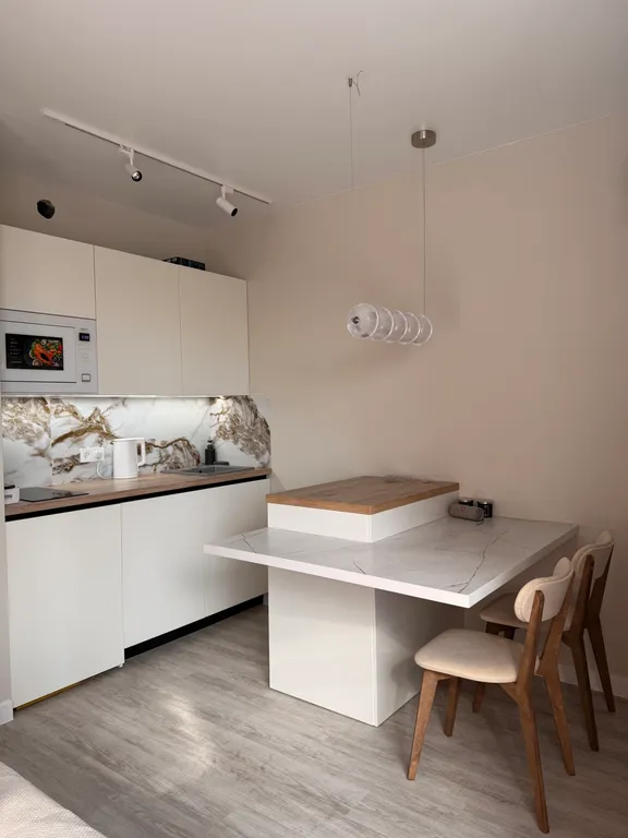 Студия однокомнатная на улице Николая Машарова, 27 м², Тюмень — кухня, фото 7