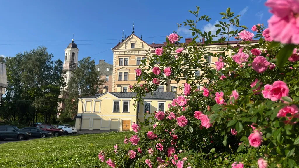 Студия однокомнатная на улице Южном Вале, 30 м², Выборг — фото 27