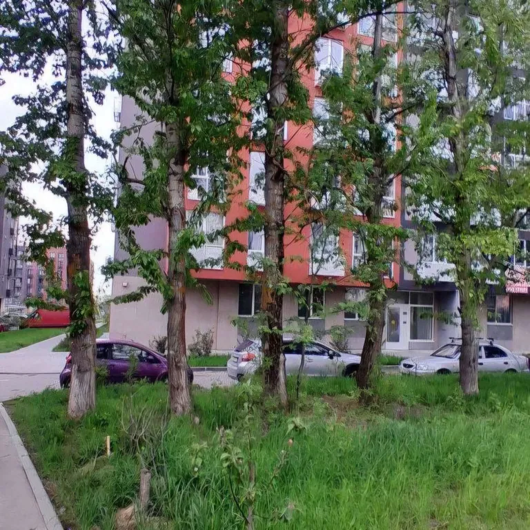 Квартира однокомнатная в Внуково, 38 м², Москва — двор