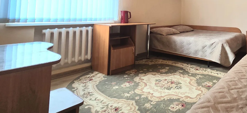 Двухместный номер с 1 кроватью №4 с доп местом — спальное место