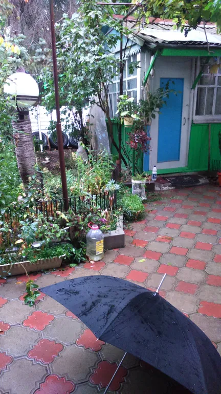Квартира однокомнатная на улице Гоголи, 48 м², Ессентуки — двор