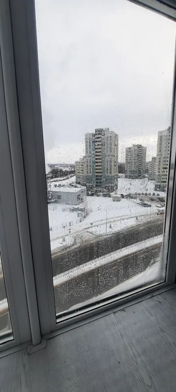 Квартира однокомнатная на проспекте Николаевском, 37 м², Придорожный — вид из окна