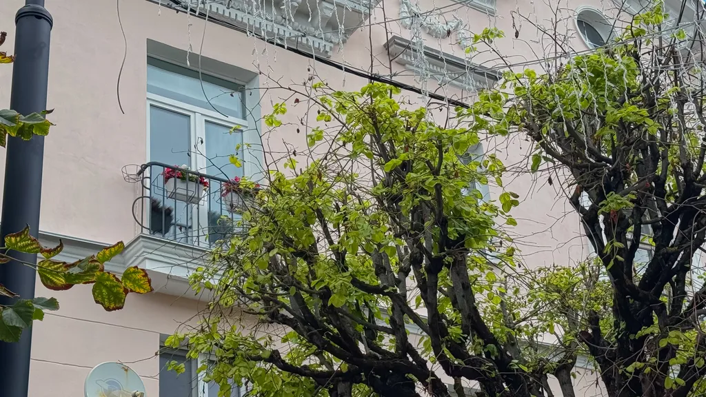 Квартира двухкомнатная на улице Ленина, 49 м², Смоленск — фото 38