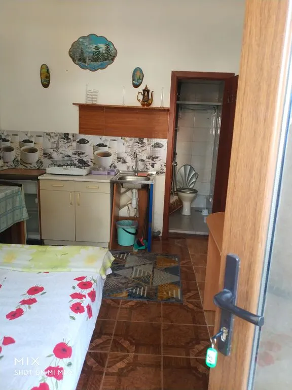 (15) Уютный номер в тени платанов (своя кухня, санузел и душ)