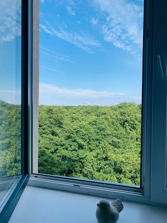 Квартира Балтийский Свет в Зеленоградске.