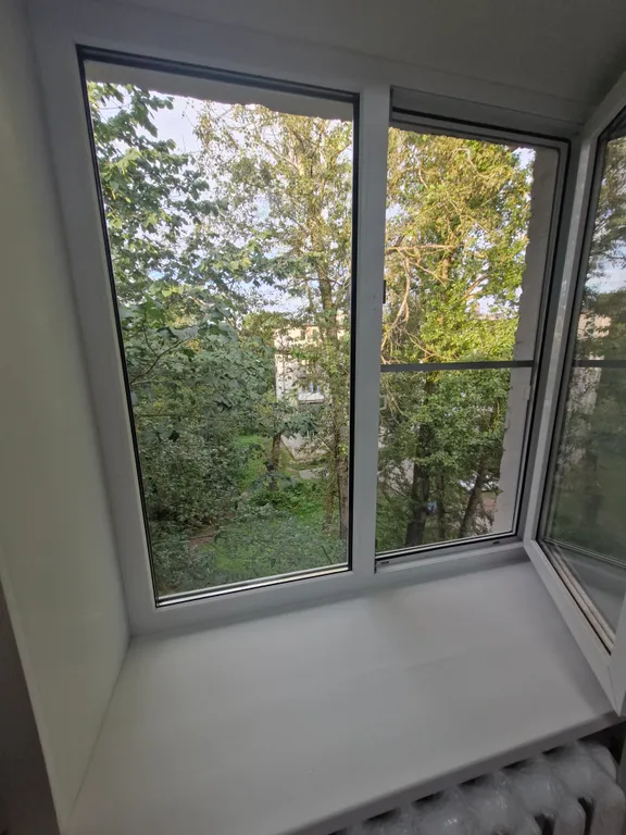 Студия однокомнатная на улице Новолучанской, 14 м², Великий Новгород — вид из окна