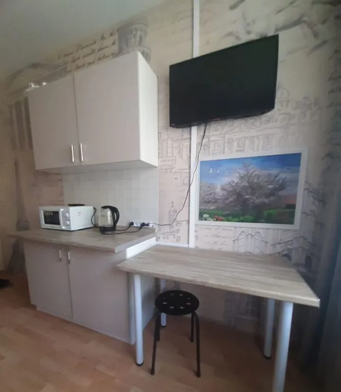 Квартира однокомнатная у Автозаводской, в Даниловском, 15 м², Москва — кухня, фото 3