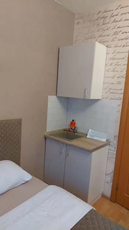 Квартира однокомнатная у Автозаводской, в Даниловском, 15 м², Москва — кухня, фото 7
