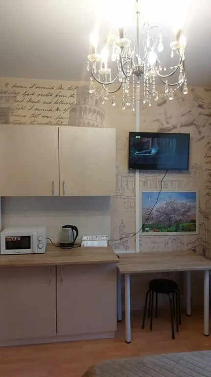 Квартира однокомнатная у Автозаводской, в Даниловском, 15 м², Москва — кухня, фото 8