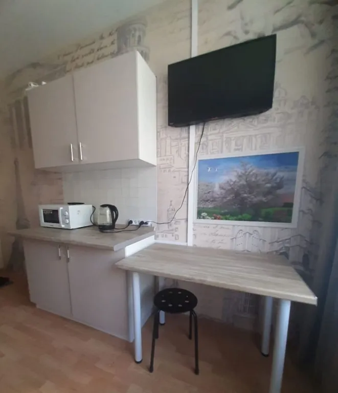 Квартира однокомнатная у Автозаводской, в Даниловском, 15 м², Москва — кухня, фото 2