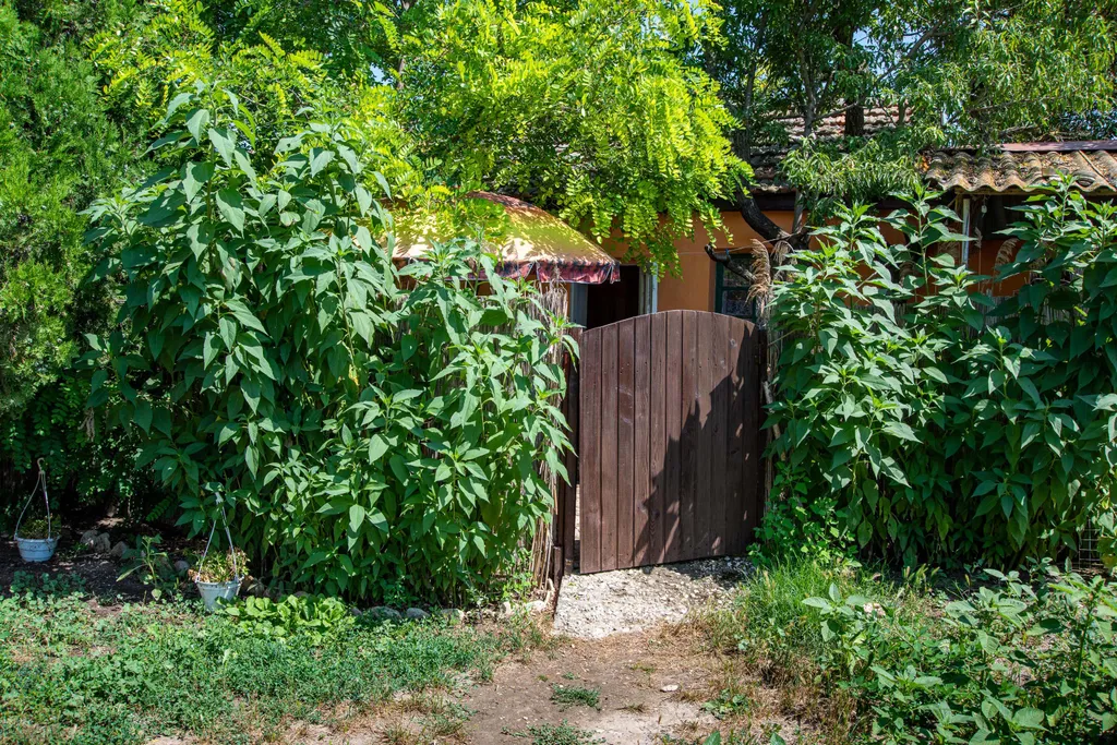 ЭкоДом Эконом под ключ со своим отдельным уютным двориком