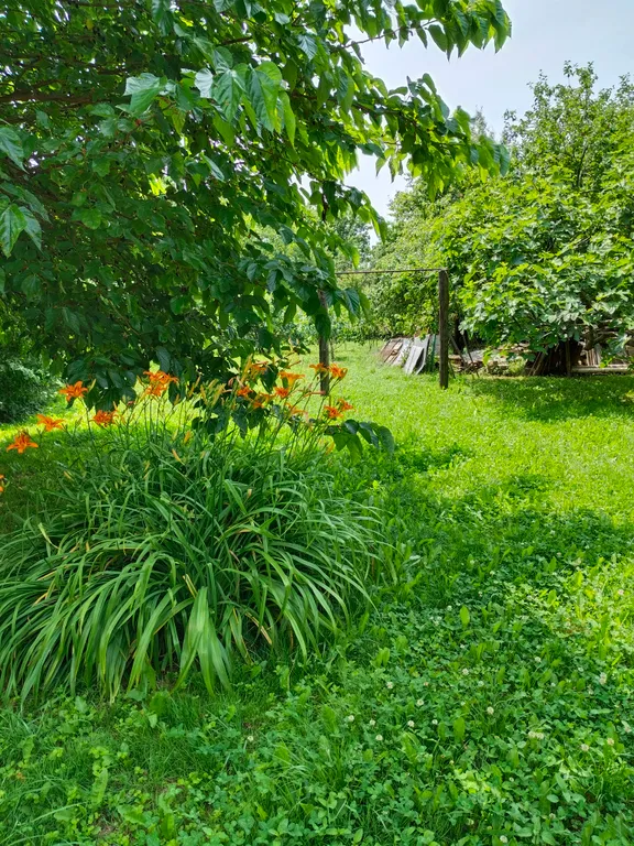 Апартаменты 5-местный на улице Ленина, 50 м², Лермонтово — фото 25