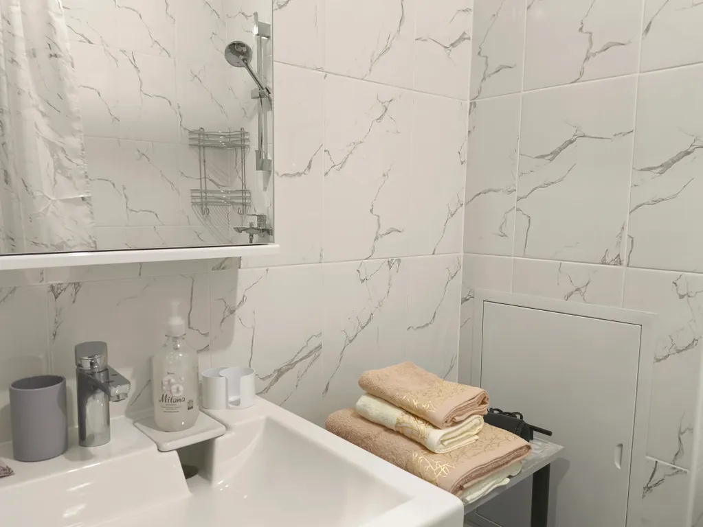Студия однокомнатная в Пушкинском, 25 м², Шушары — ванная комната
