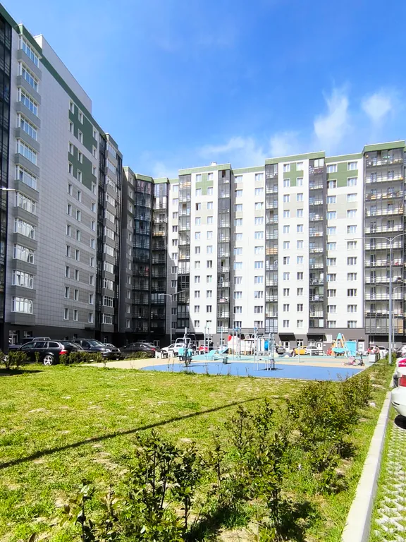 Студия однокомнатная в Пушкинском, 25 м², Шушары — двор