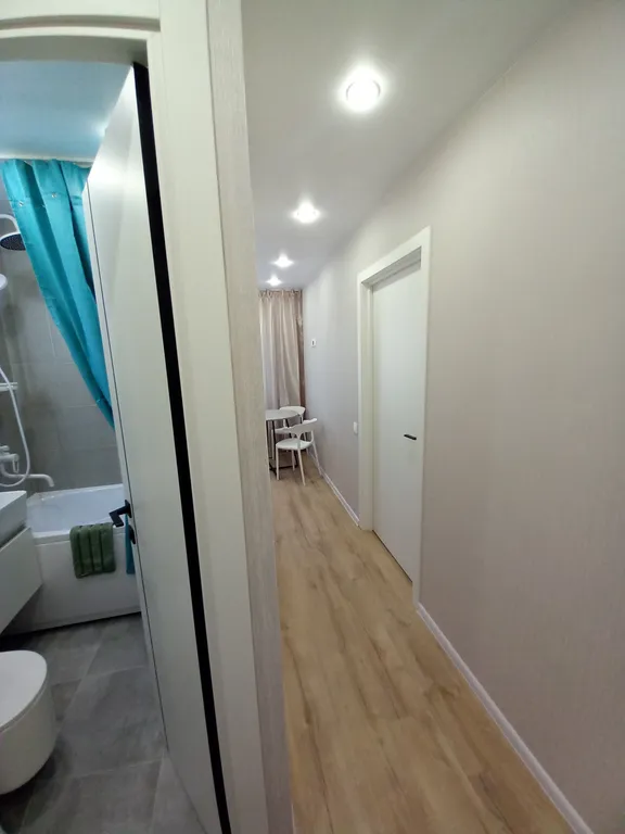 Квартира однокомнатная на улице Юбилейной, 31 м², Псков — фото 20