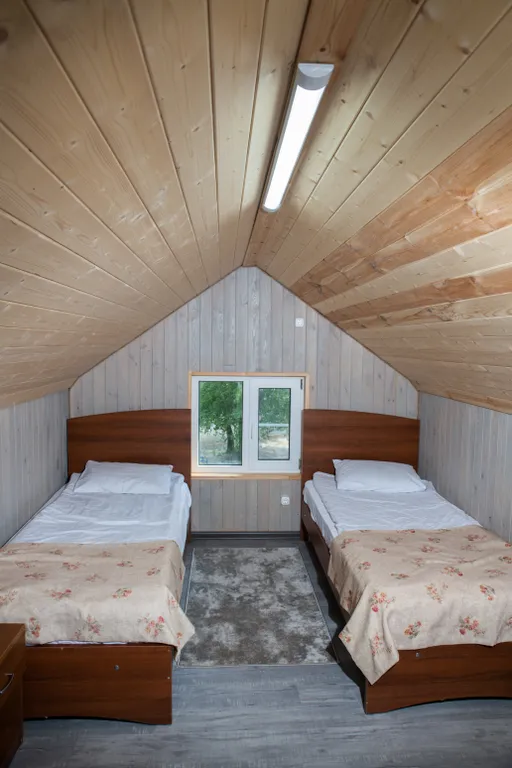 Дом Дом Елки-палки