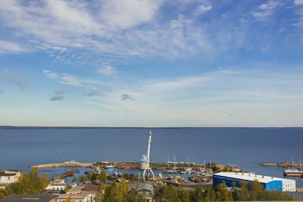 Квартира однокомнатная на улице Онежской Флотилии, 41 м², Петрозаводск — фото 16