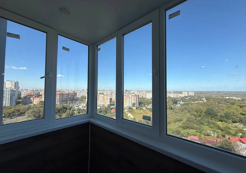 Квартира двухкомнатная на улице Новосёлове, 60 м², Рязань — вид из окна, фото 2