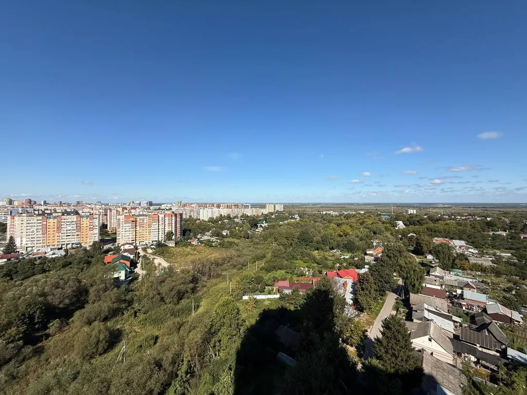 Квартира двухкомнатная на улице Новосёлове, 60 м², Рязань — вид из окна, фото 3