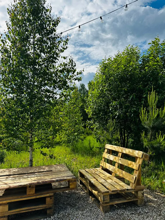 Дом 4-местный в деревни Мясоедово, 43 м², Алексин — двор, фото 11