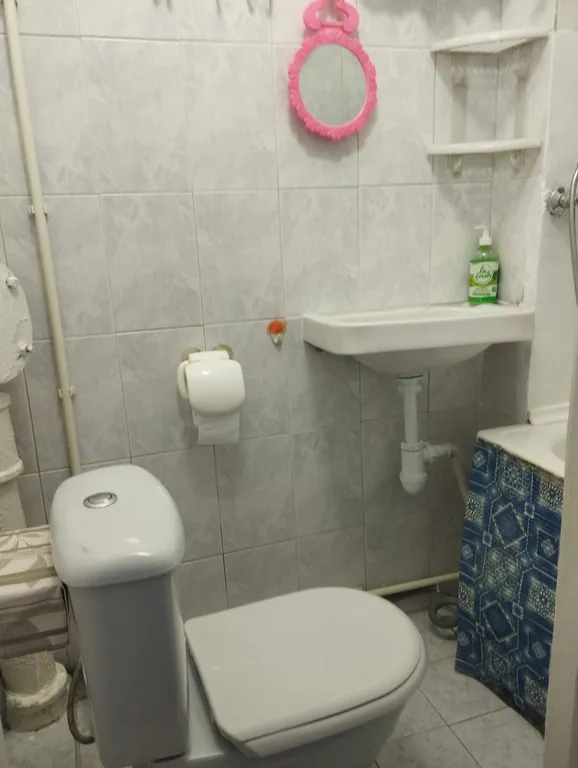 Квартира двухкомнатная на улице Полетаева, 45 м², Рязань — ванная комната