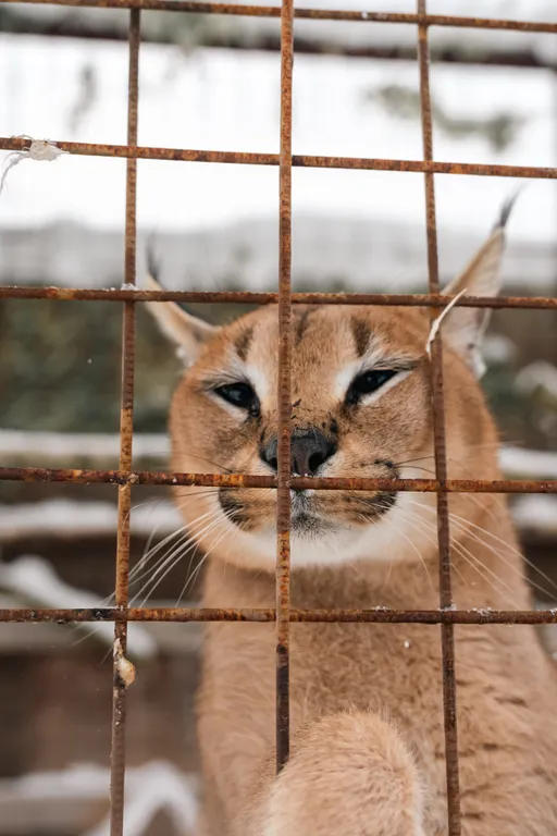 Дом 5-местный в квартале Бережки-2, 60 м², Солнечногорск — фото 25