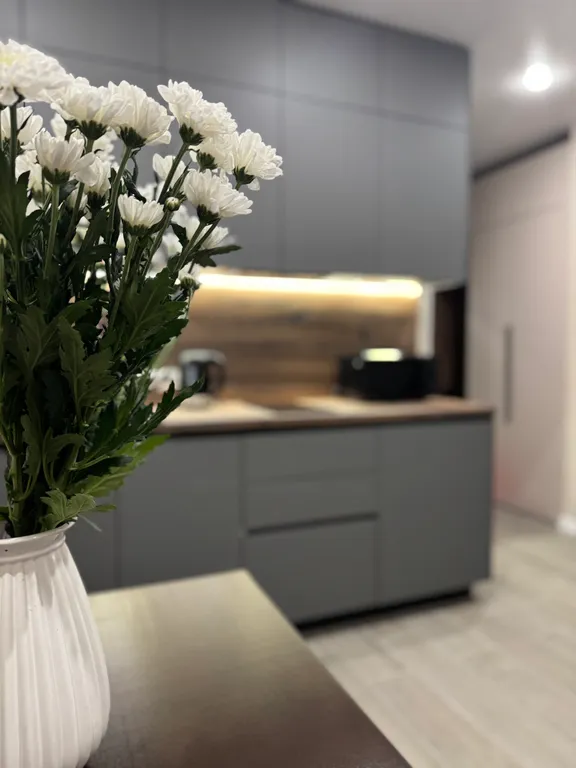 Студия однокомнатная на улице Советской, 24 м², Сортавала — фото 14