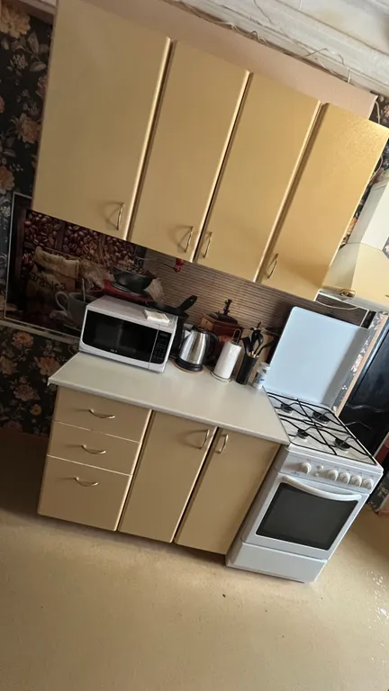 Квартира трёхкомнатная у Чкаловской, в Канавино, 80 м², Нижний Новгород — кухня