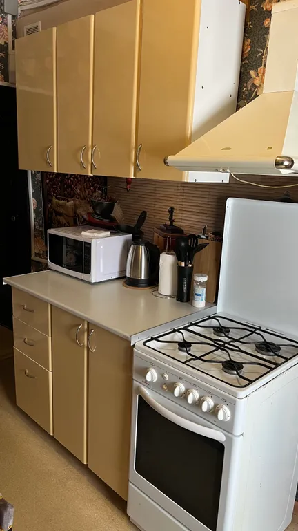 Квартира трёхкомнатная у Чкаловской, в Канавино, 80 м², Нижний Новгород — кухня, фото 2