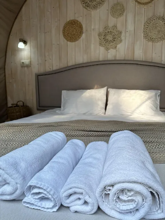 Дом панорамная сфера комфорт с холодильником и мангалом