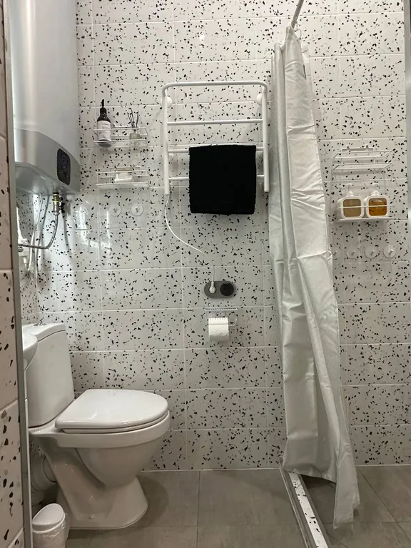 Дом 6-местный в деревни Боровские, 31 м², Остров — ванная комната, фото 7
